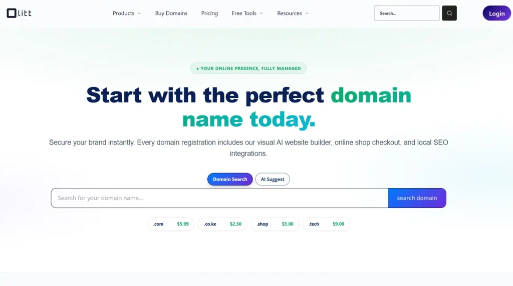 Types Of Domains: Choosing The Right One For Your Website 1 Image
