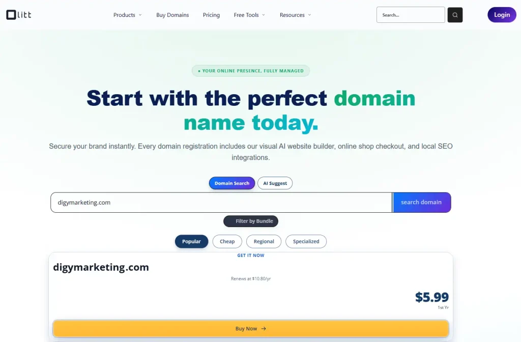 Types Of Domains: Choosing The Right One For Your Website 2 Types Of Domains