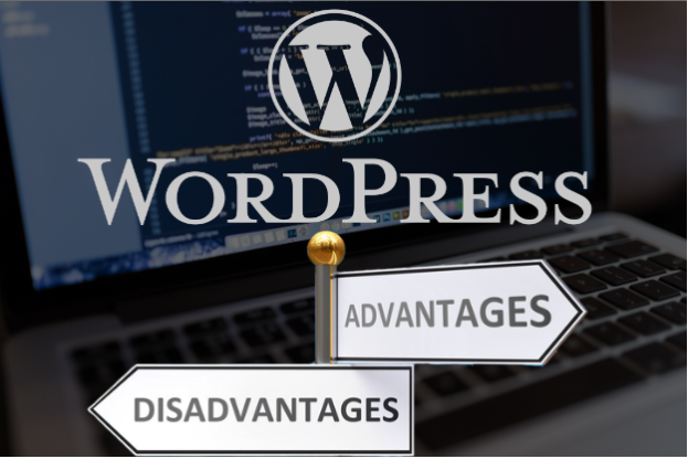 WordPress Advantages and Disadvantages: Make&hellip;