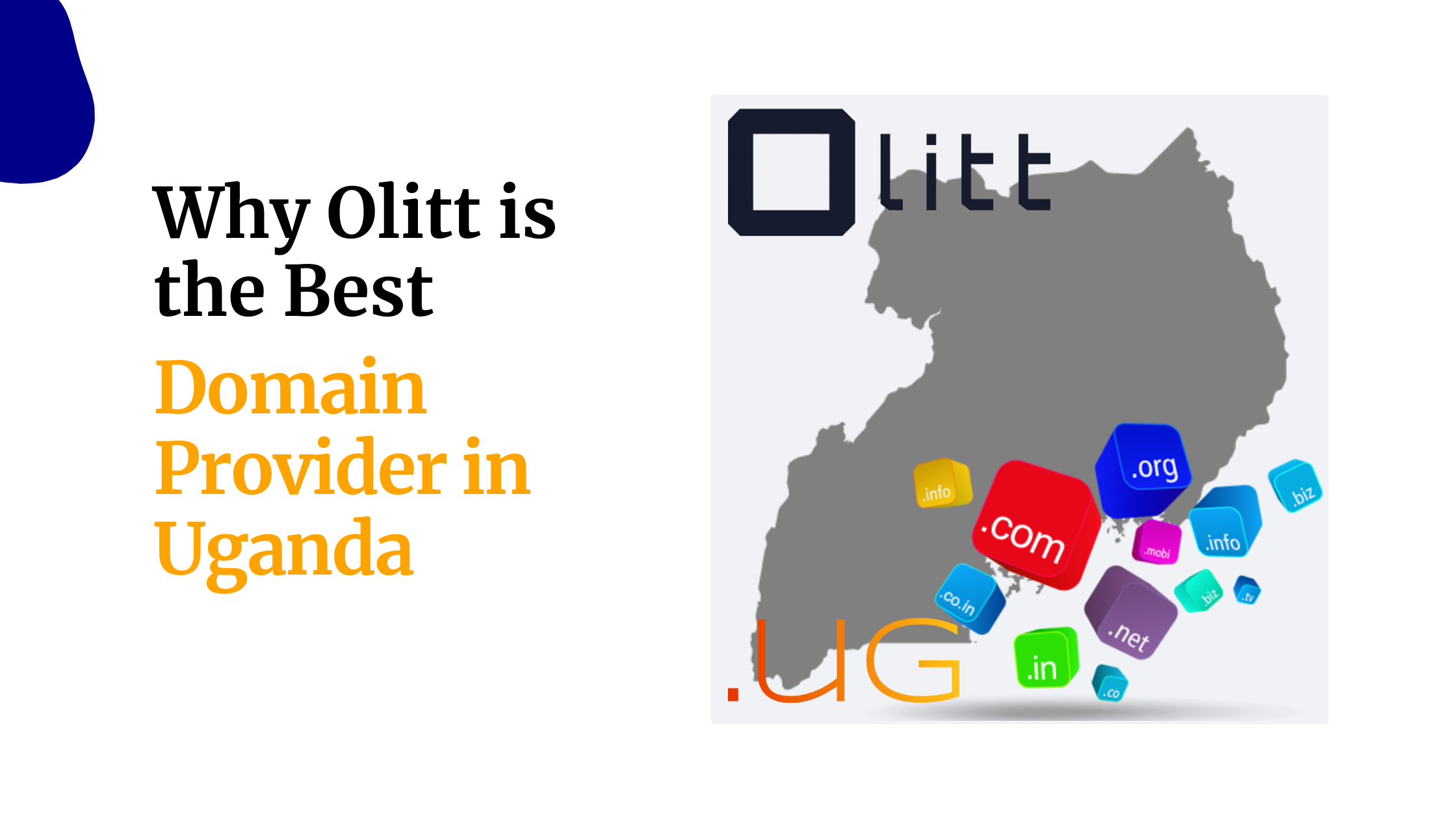 Why Olitt is the Best&hellip;