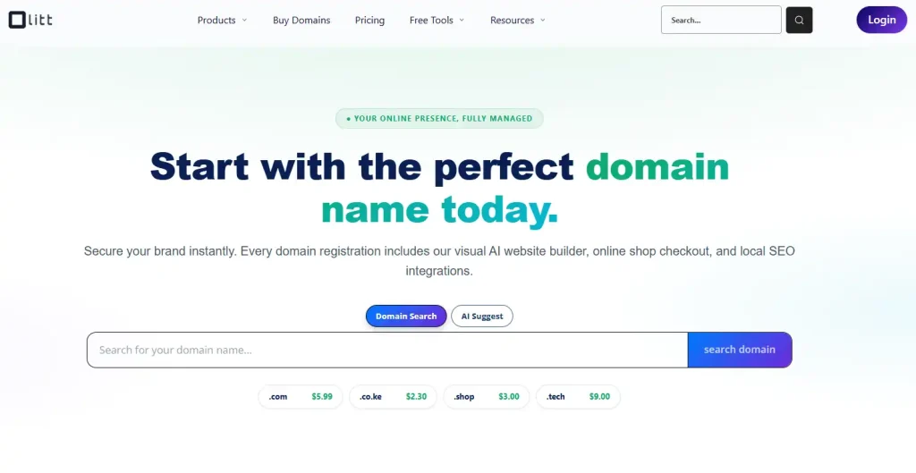Can Businesses Use A .Org