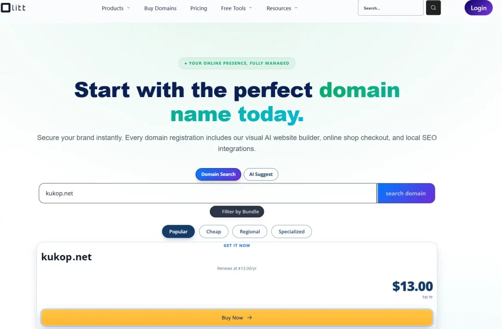 What Is A .Net Domain