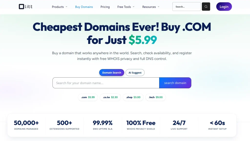 What Is A Domain Name? 1 What Is A Domain Name