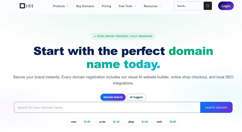 What Is The Domain Name System (Dns)? How It Works 4 What Is The Domain Name System