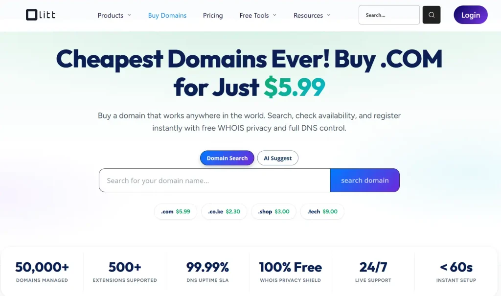 Domain Registration In Kenya: The Complete Guide 1 Domain Registration In Kenya